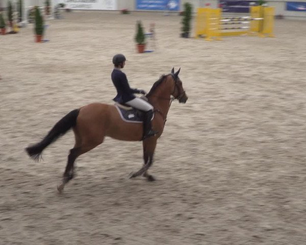 Reitturnier Aachen 2021