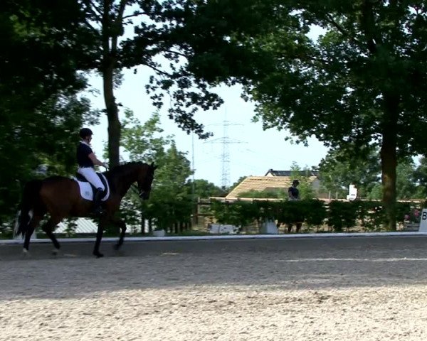Reitturnier Fröndenberg 2021