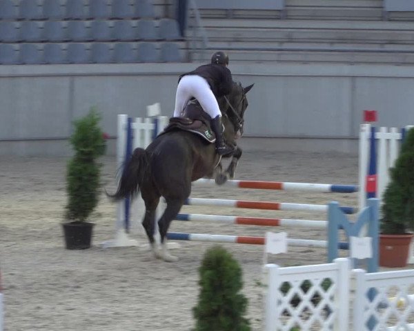 Reitturnier Aachen 2021