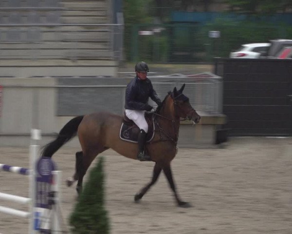 Reitturnier Aachen 2021