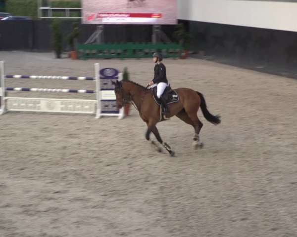 Reitturnier Aachen 2021