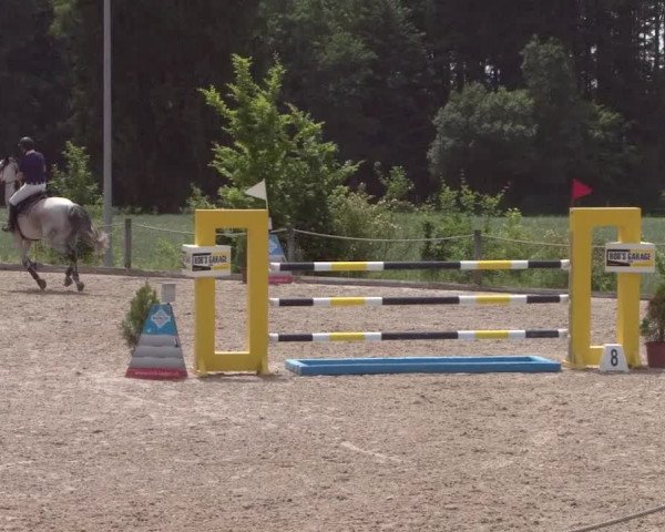 Reitturnier Meilen 2021