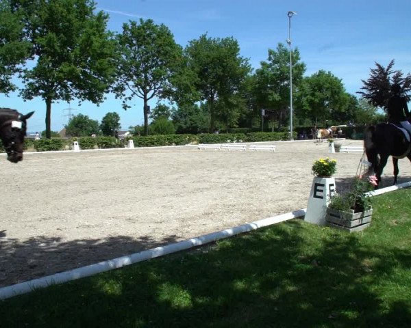 Reitturnier Fröndenberg 2021