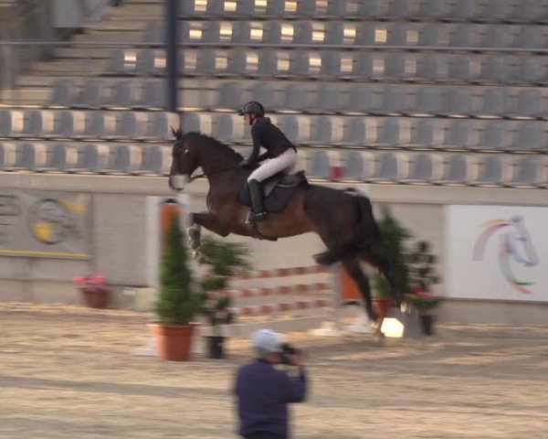 Reitturnier Aachen 2021