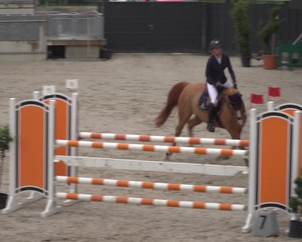 Reitturnier Aachen 2021