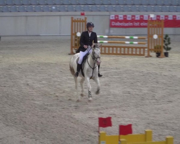 Reitturnier Aachen 2021