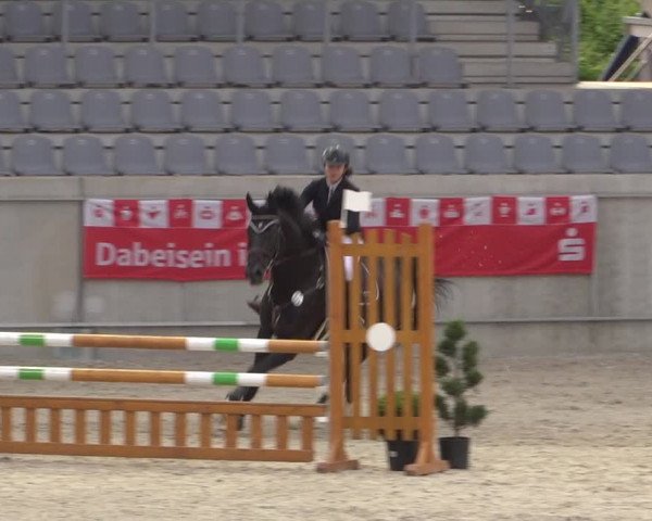 Reitturnier Aachen 2021