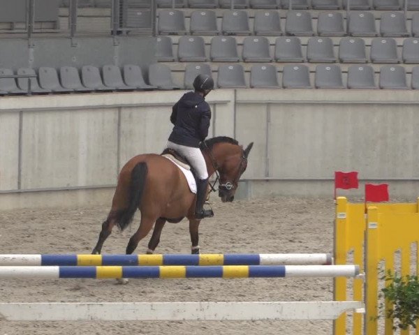 Reitturnier Aachen 2021