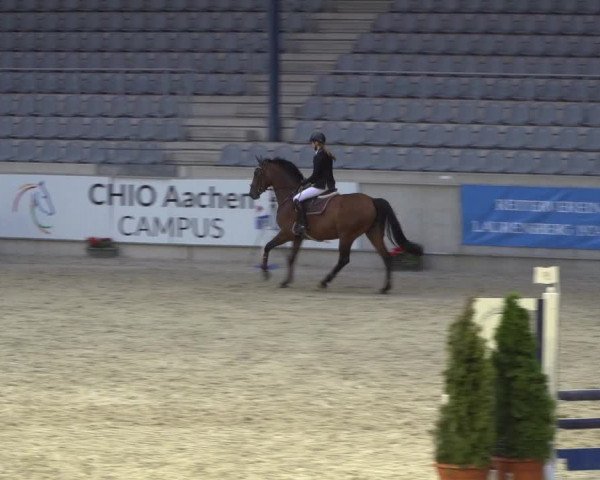 Reitturnier Aachen 2021