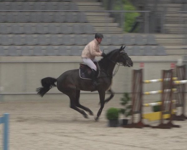 Reitturnier Aachen 2021