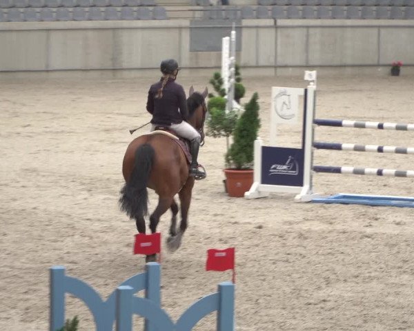 Reitturnier Aachen 2021
