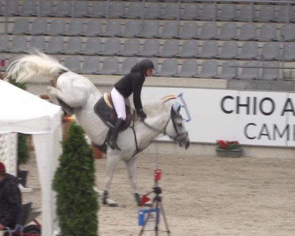 Reitturnier Aachen 2021