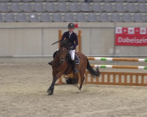 Reitturnier Aachen 2021