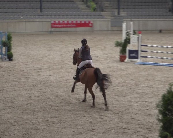 Reitturnier Aachen 2021