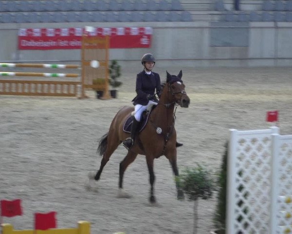 Reitturnier Aachen 2021