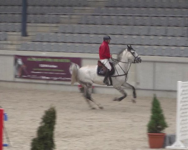 Reitturnier Aachen 2021