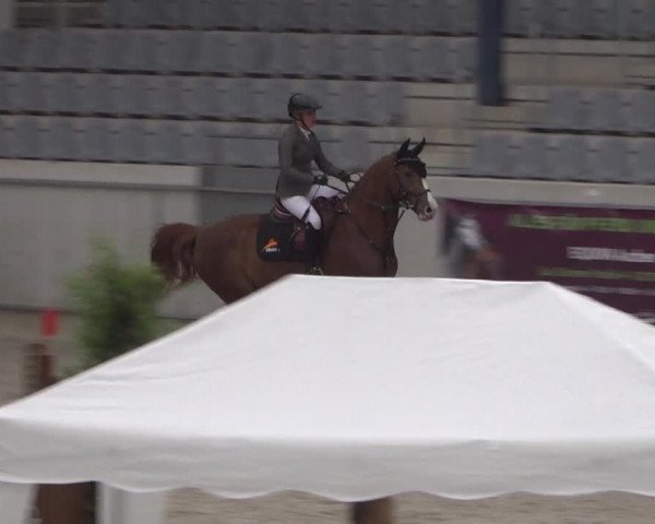 Reitturnier Aachen 2021