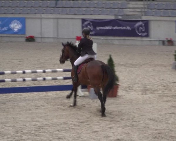 Reitturnier Aachen 2021