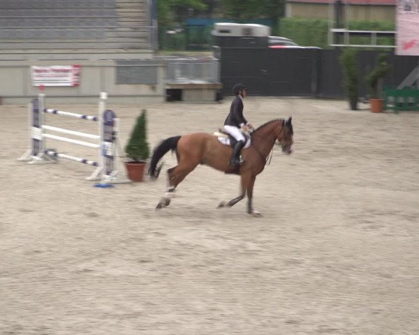 Reitturnier Aachen 2021