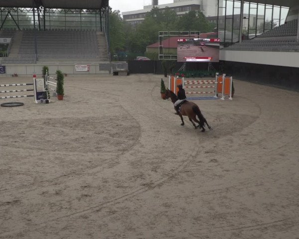 Reitturnier Aachen 2021