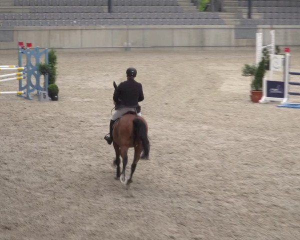 Reitturnier Aachen 2021