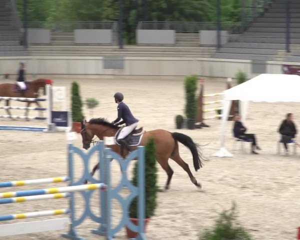 Reitturnier Aachen 2021