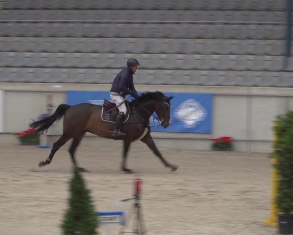 Reitturnier Aachen 2021