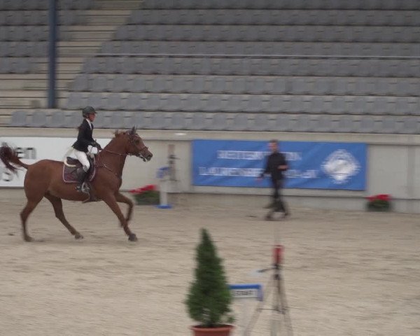 Reitturnier Aachen 2021