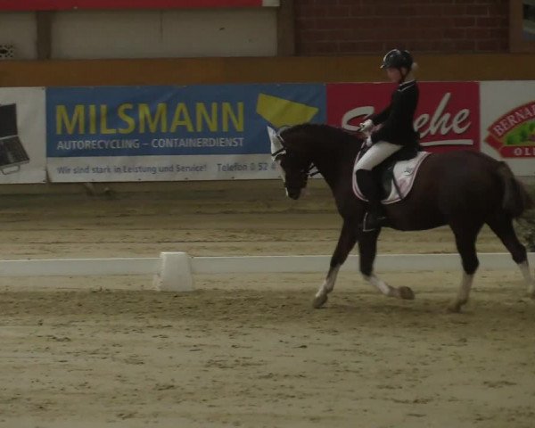 Steinhagen Classics 2021
