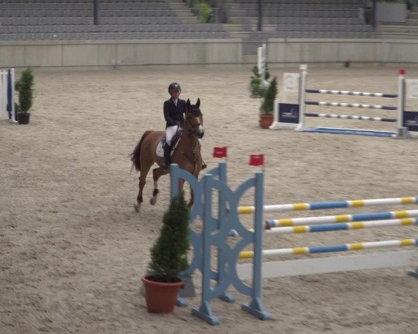 Reitturnier Aachen 2021