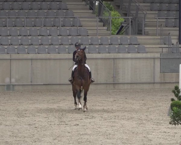 Reitturnier Aachen 2021