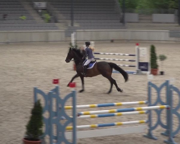 Reitturnier Aachen 2021