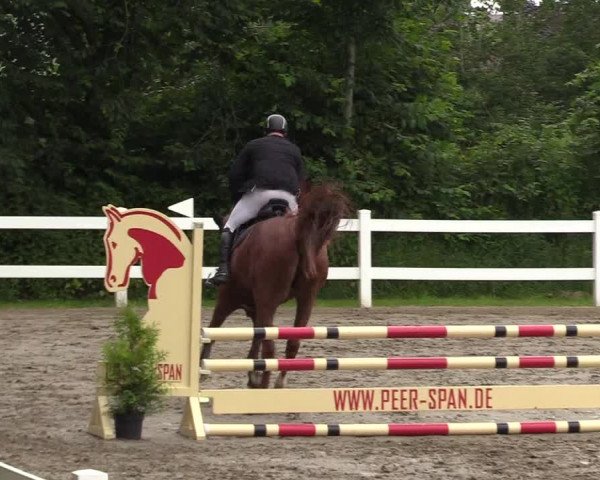 Reitturnier Mildstedt 2021