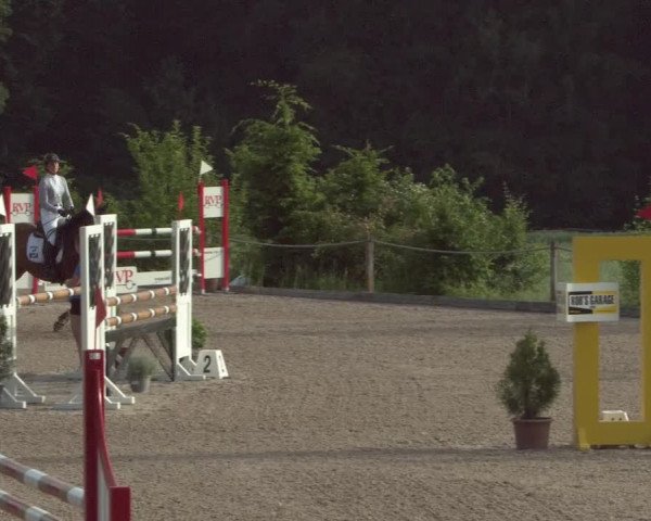 Reitturnier Meilen 2021