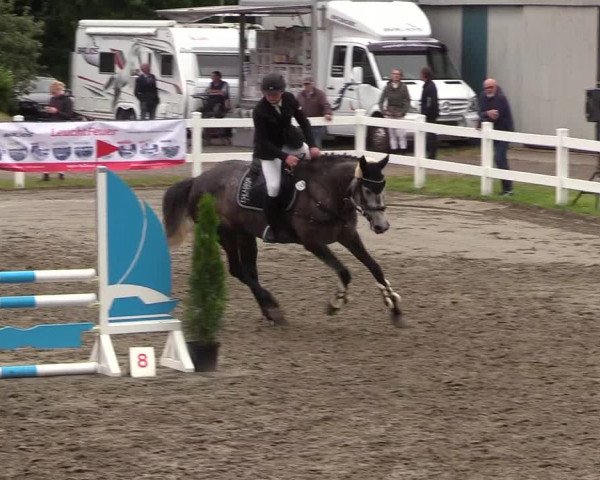 Reitturnier Mildstedt 2021