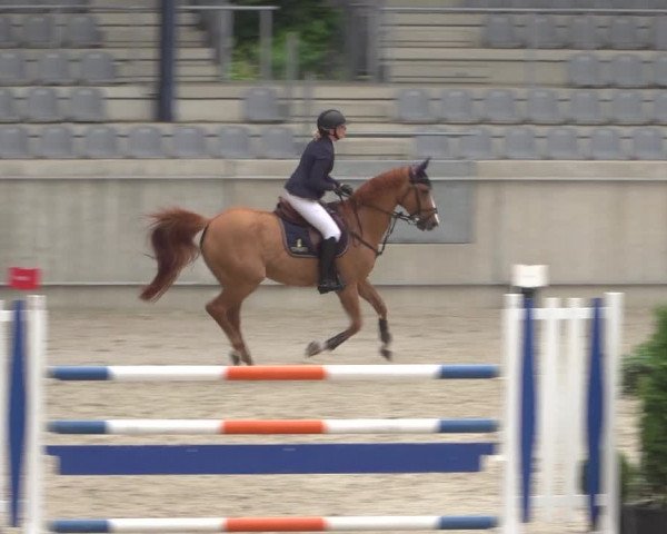 Reitturnier Aachen 2021