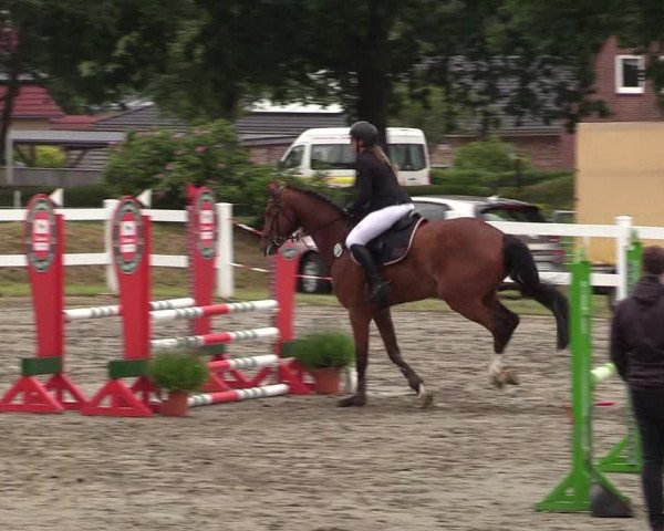 Reitturnier Mildstedt 2021