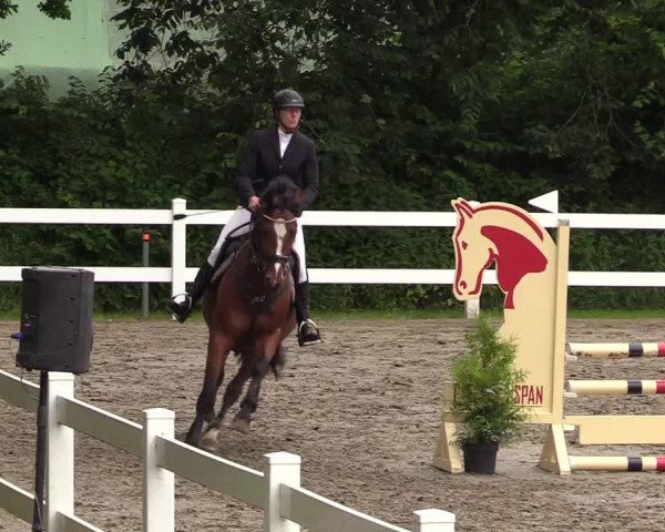 Reitturnier Mildstedt 2021