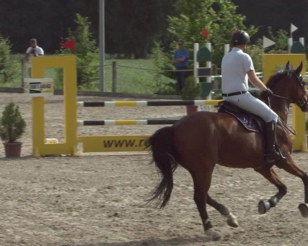 Reitturnier Meilen 2021