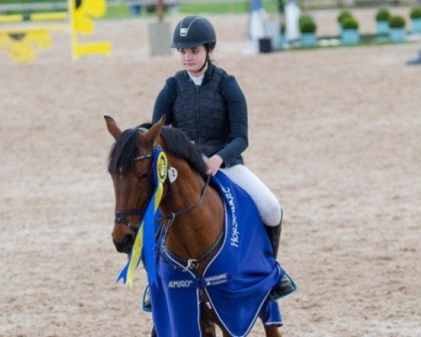 horse Donyör (German Riding Pony, 2004, from Da Capo)
