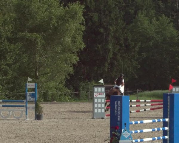 Reitturnier Meilen 2021