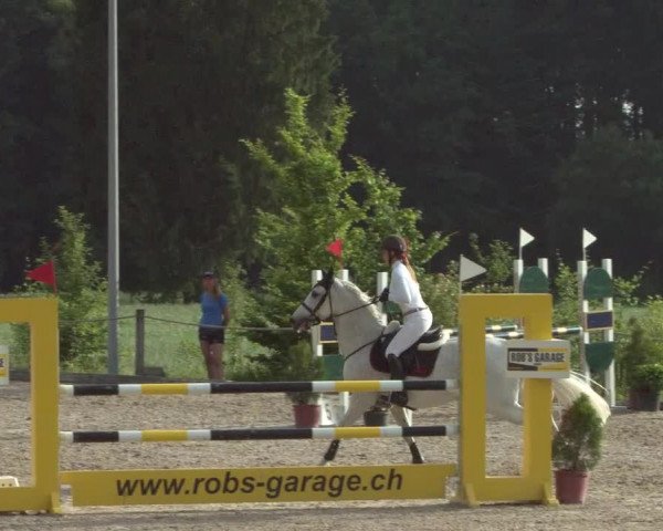 Reitturnier Meilen 2021