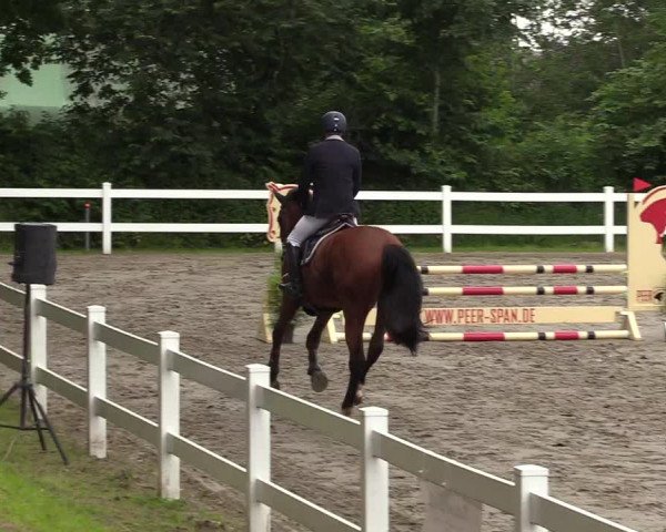 Reitturnier Mildstedt 2021