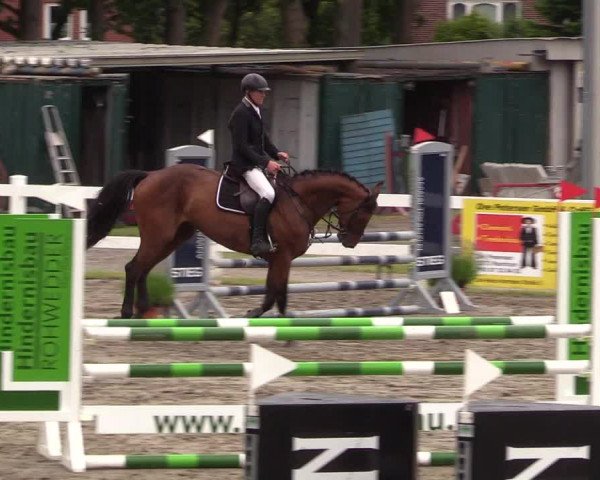 Reitturnier Mildstedt 2021