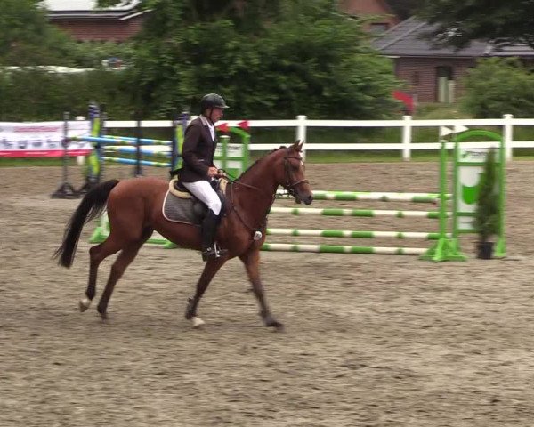 Reitturnier Mildstedt 2021