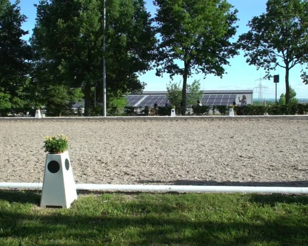 Reitturnier Fröndenberg 2021