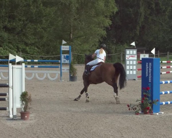 Reitturnier Meilen 2021