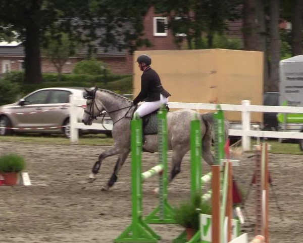 Reitturnier Mildstedt 2021