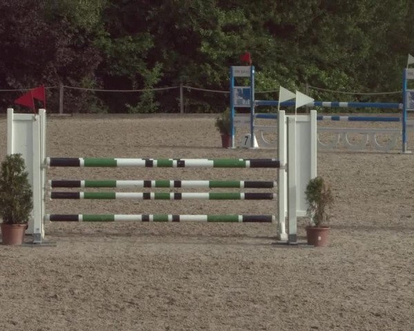 Reitturnier Meilen 2021