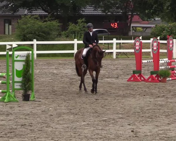 Reitturnier Mildstedt 2021